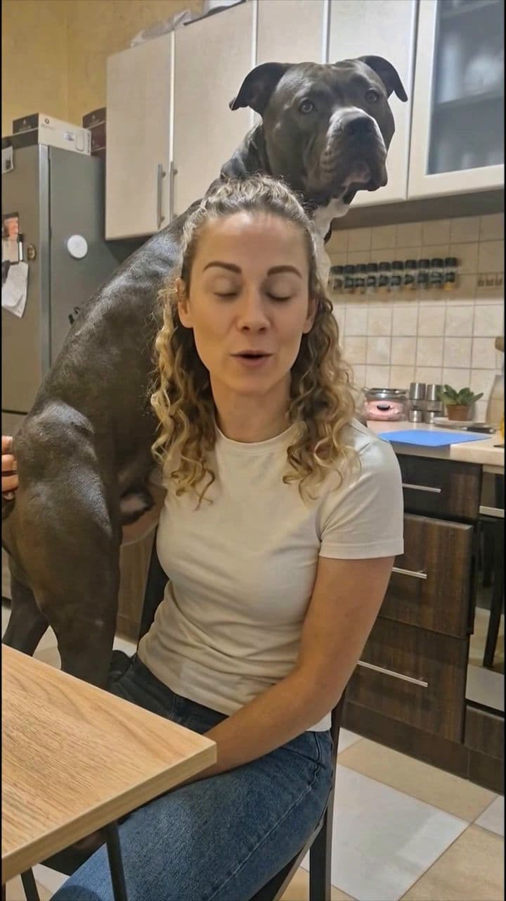 Rompe la desobediencia sin castigos