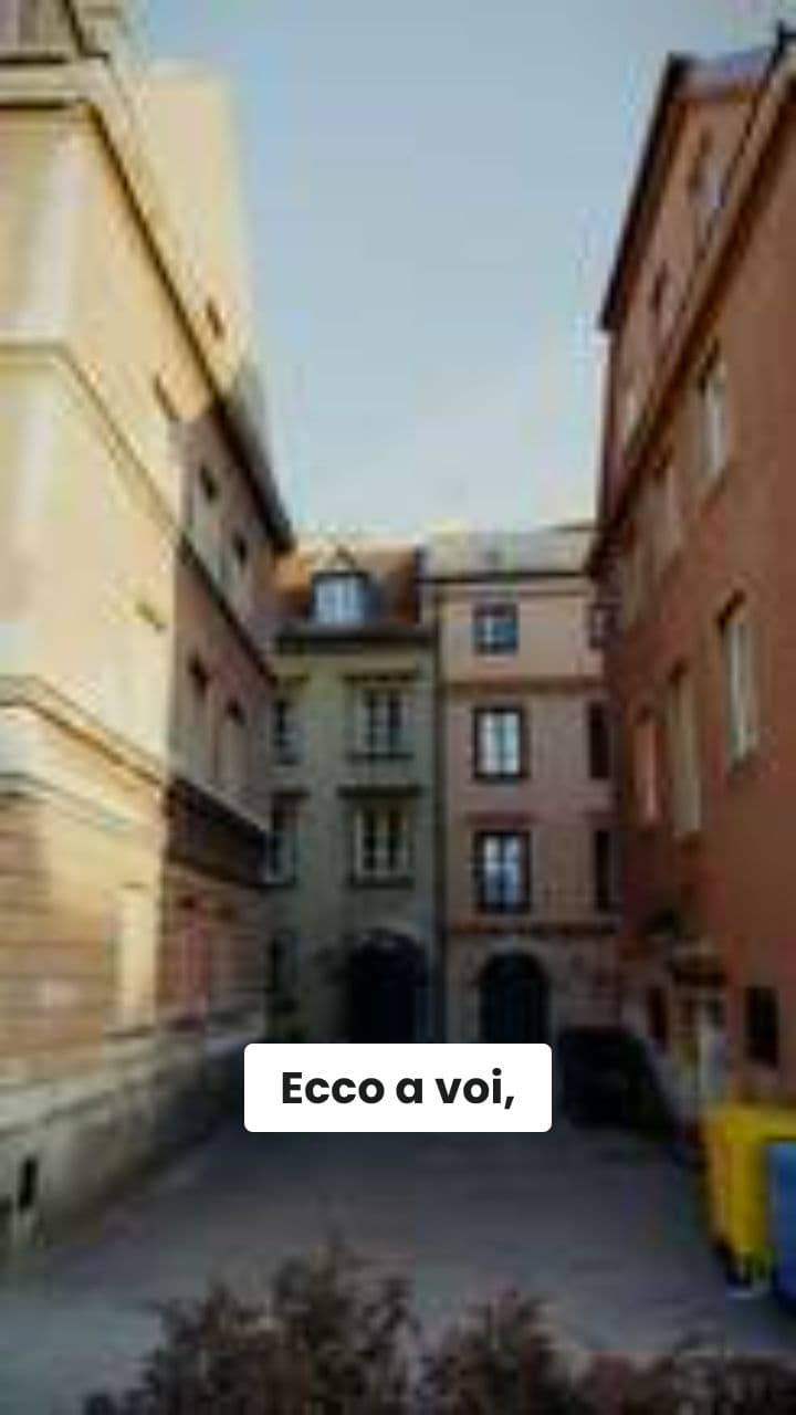 Le Avventure di Crocavocato Mario: Il Cammino dell'Avocado