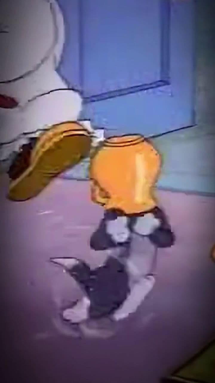 Amizade Oculta entre Tom e Jerry