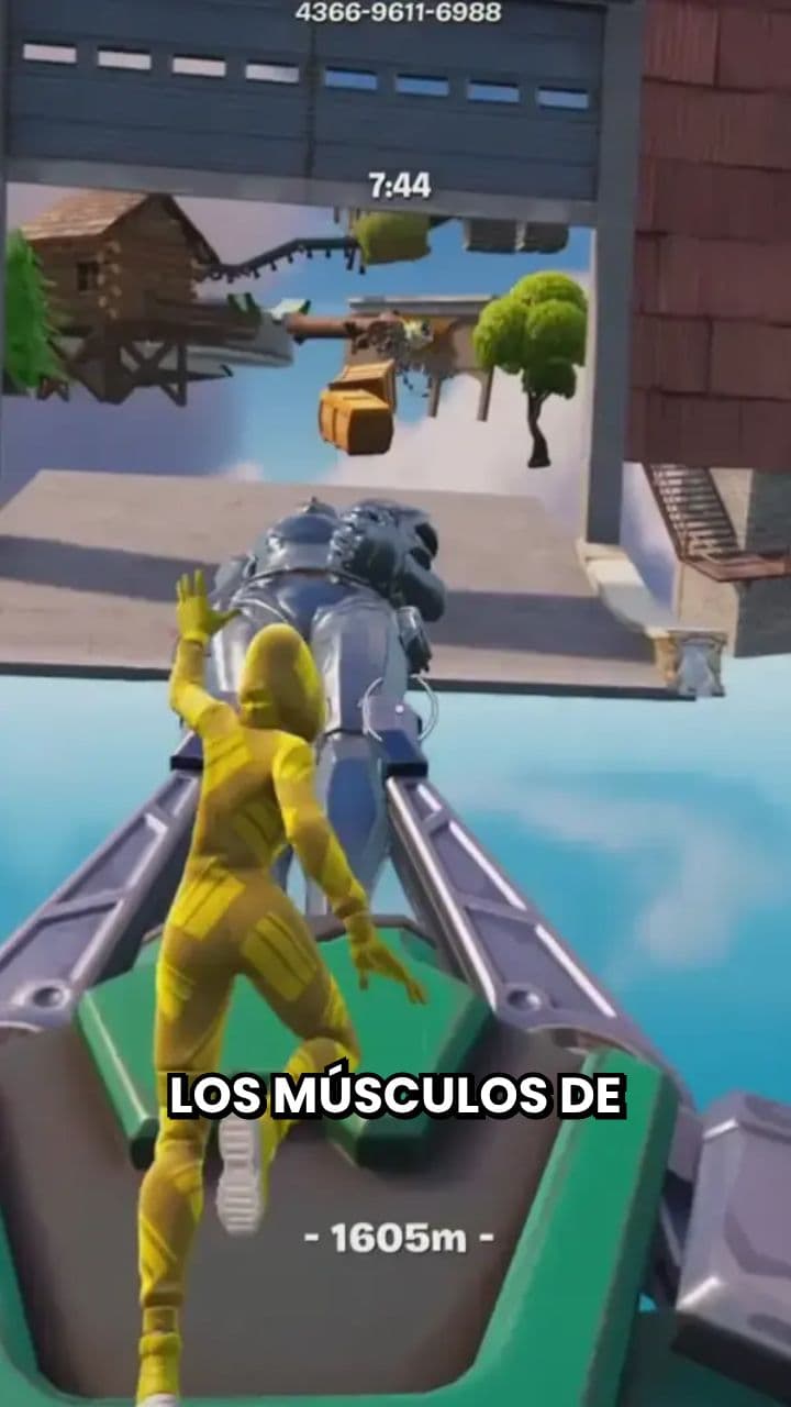 Músculos faciales y masticatorios del caballo