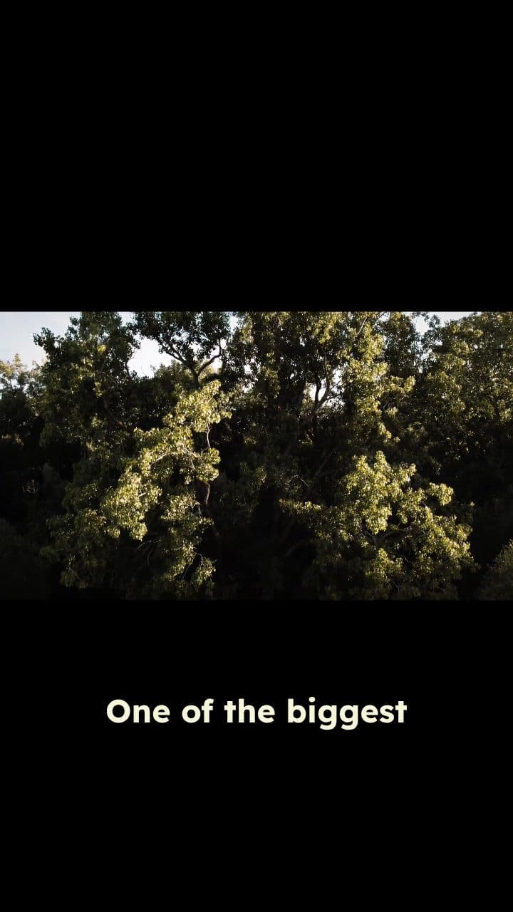 Mistakes Aren't Failures, They're Lessons