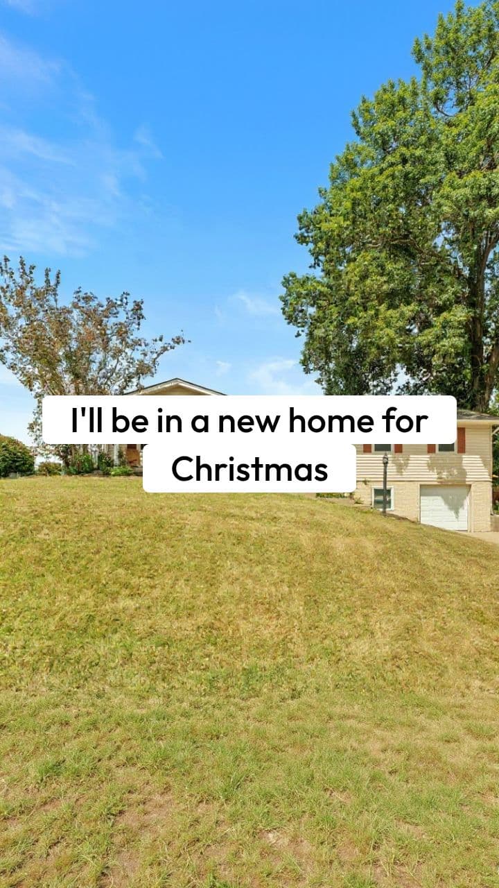 New Home for Christmas on Diana Drive