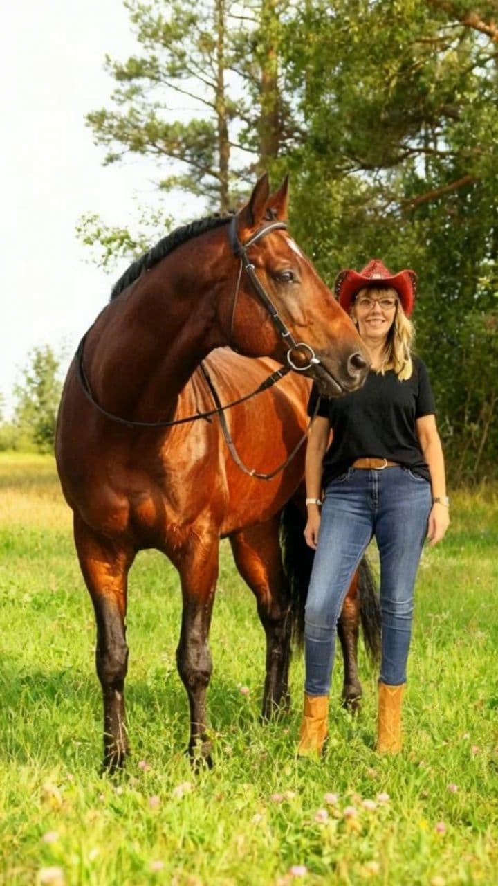 Image transform video