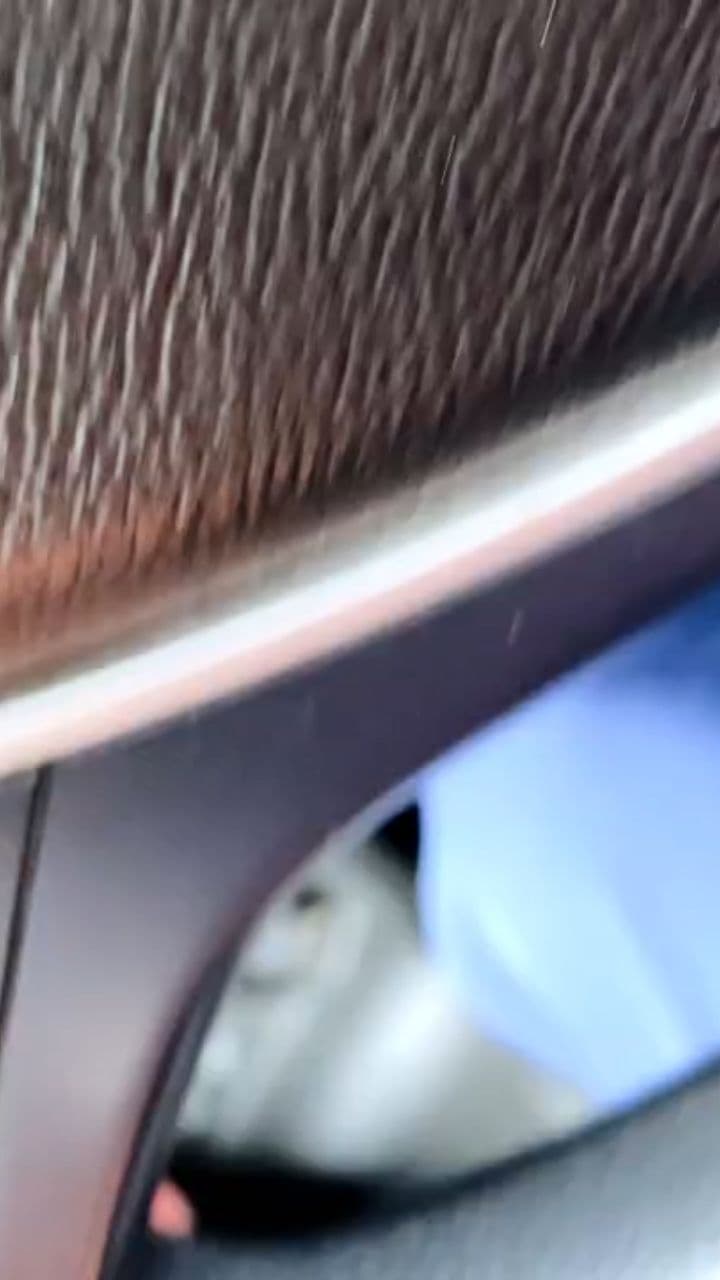 A Life-Changing Decision