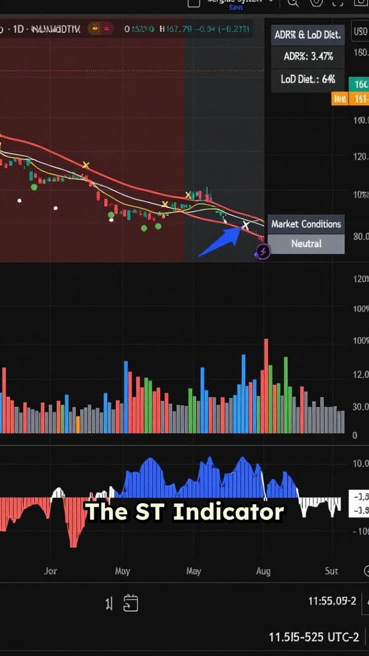 The ST Indicator: Beyond Wealth