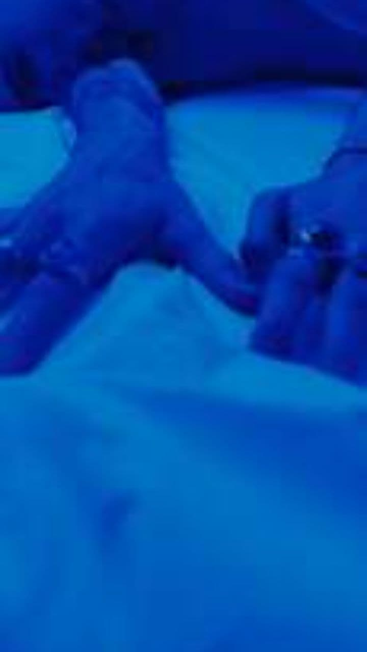 Amor Feroz y Desgarrador