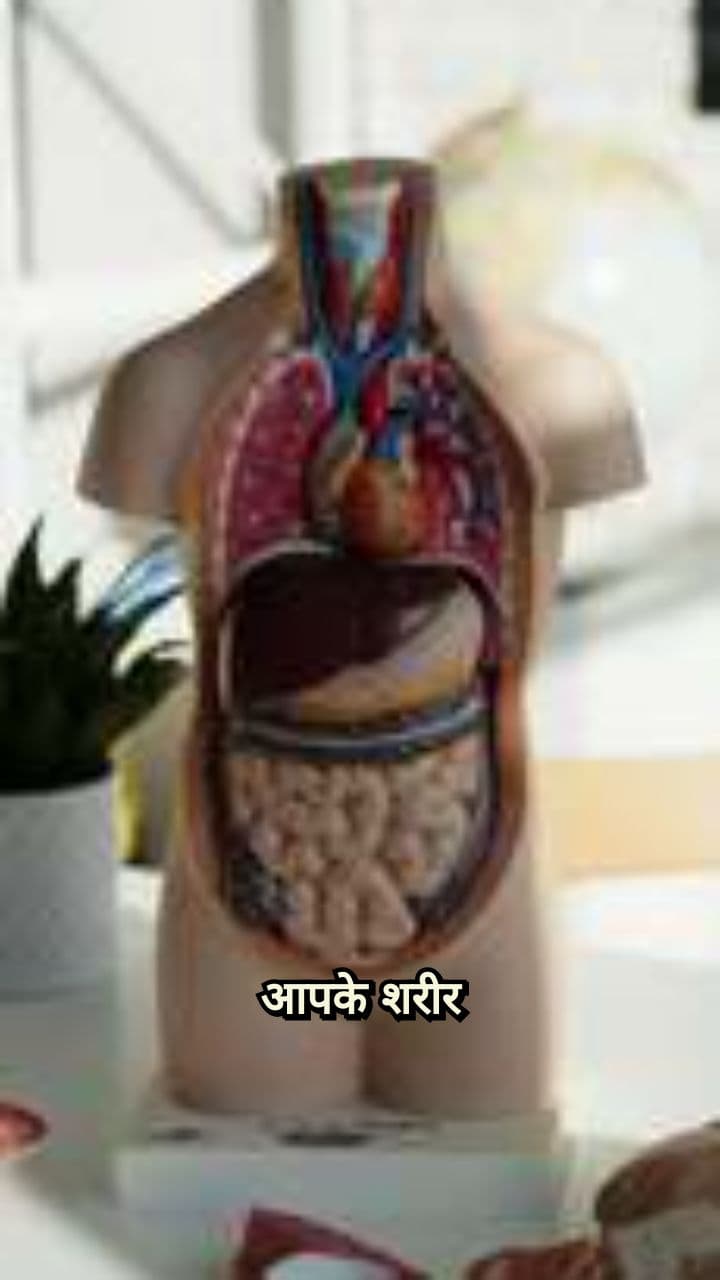 आपके शरीर में छिपा लोहा