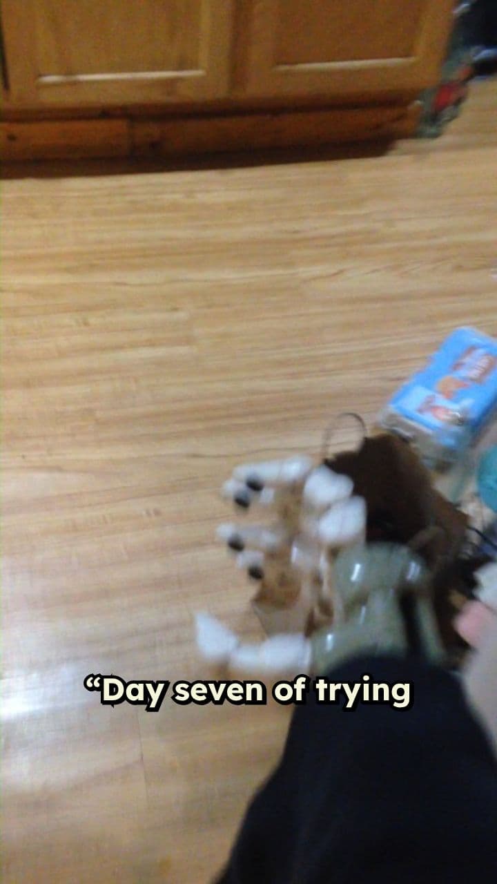 Dishwasher's Desperate Declaration