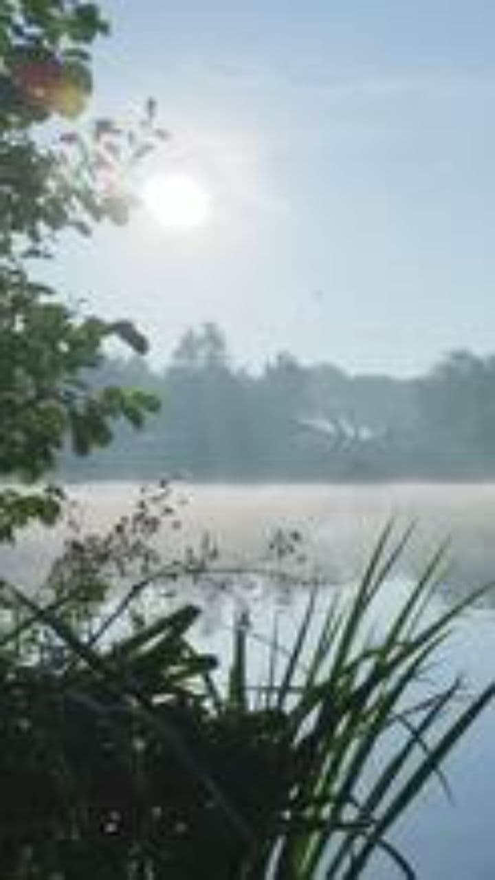 A Beacon Through the Haze