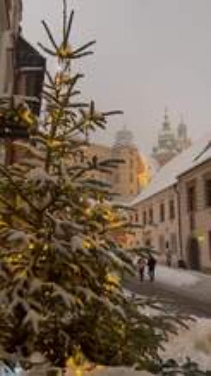 Cozy Winter Road in the City