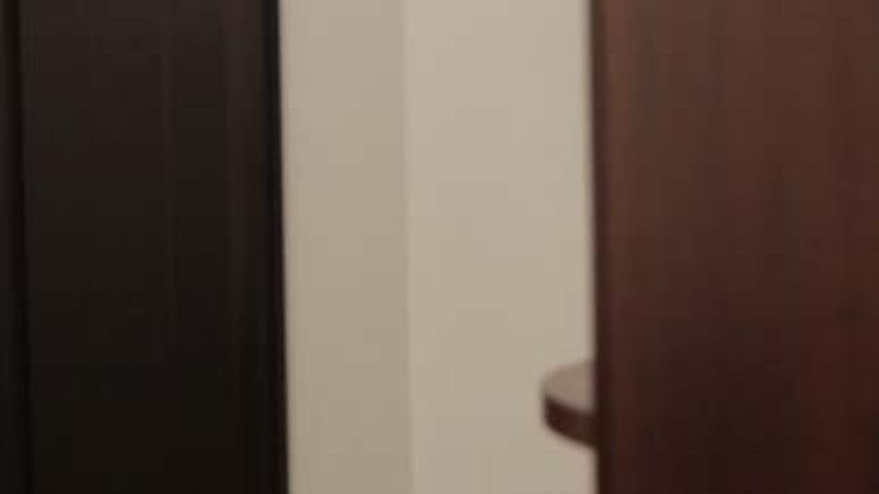 From Static to Dynamic