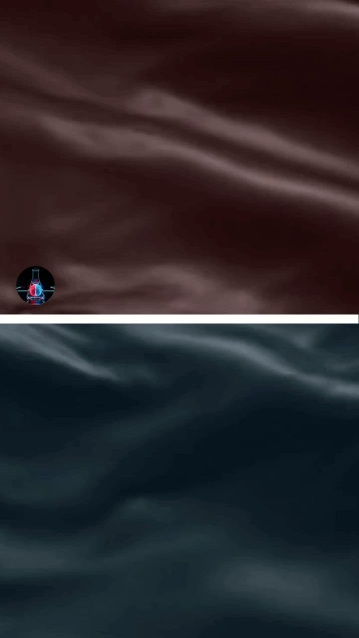 Welcome to the Dilemma Lab