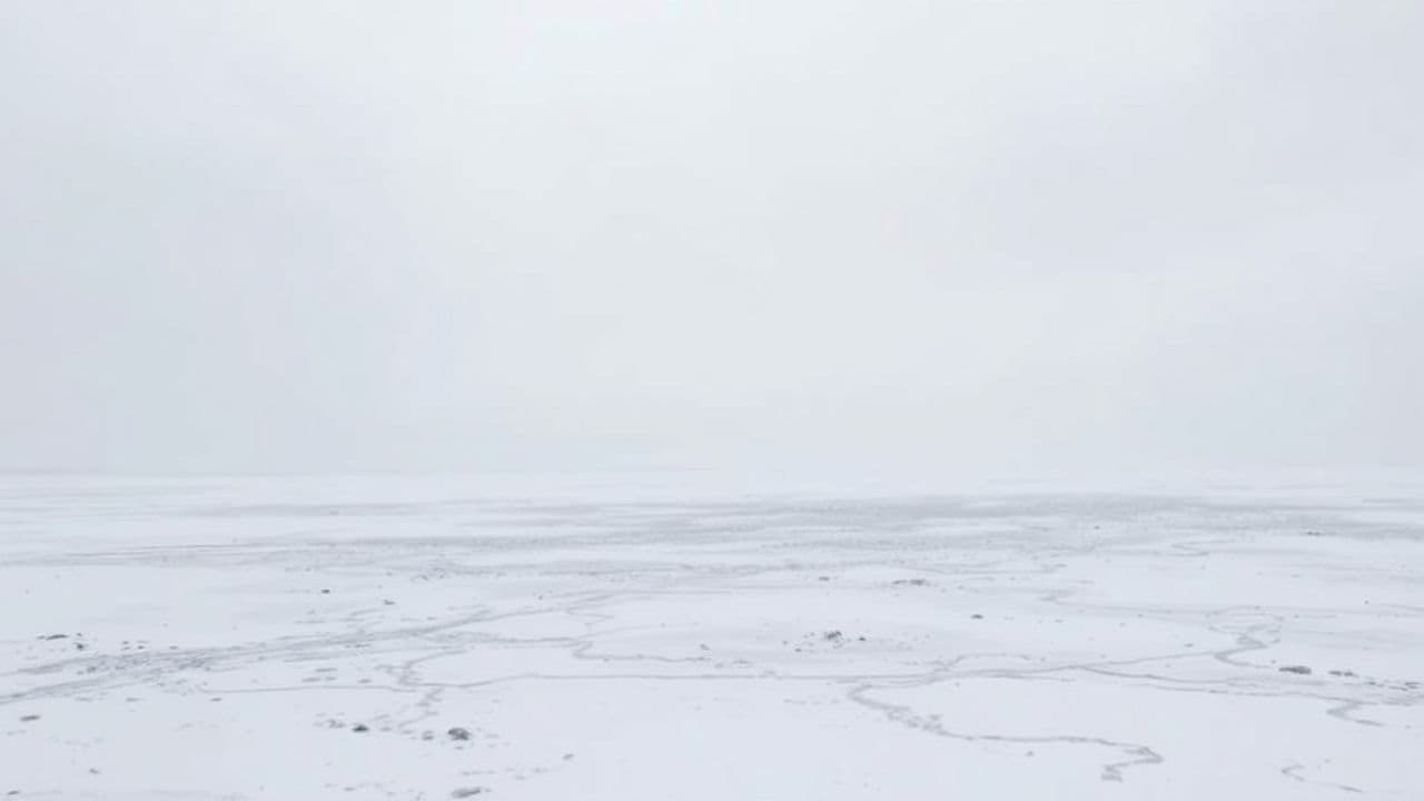 Голос правды и свобода народа