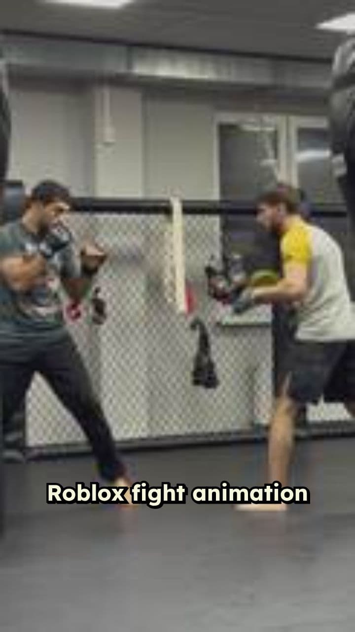 Roblox Combat Animation