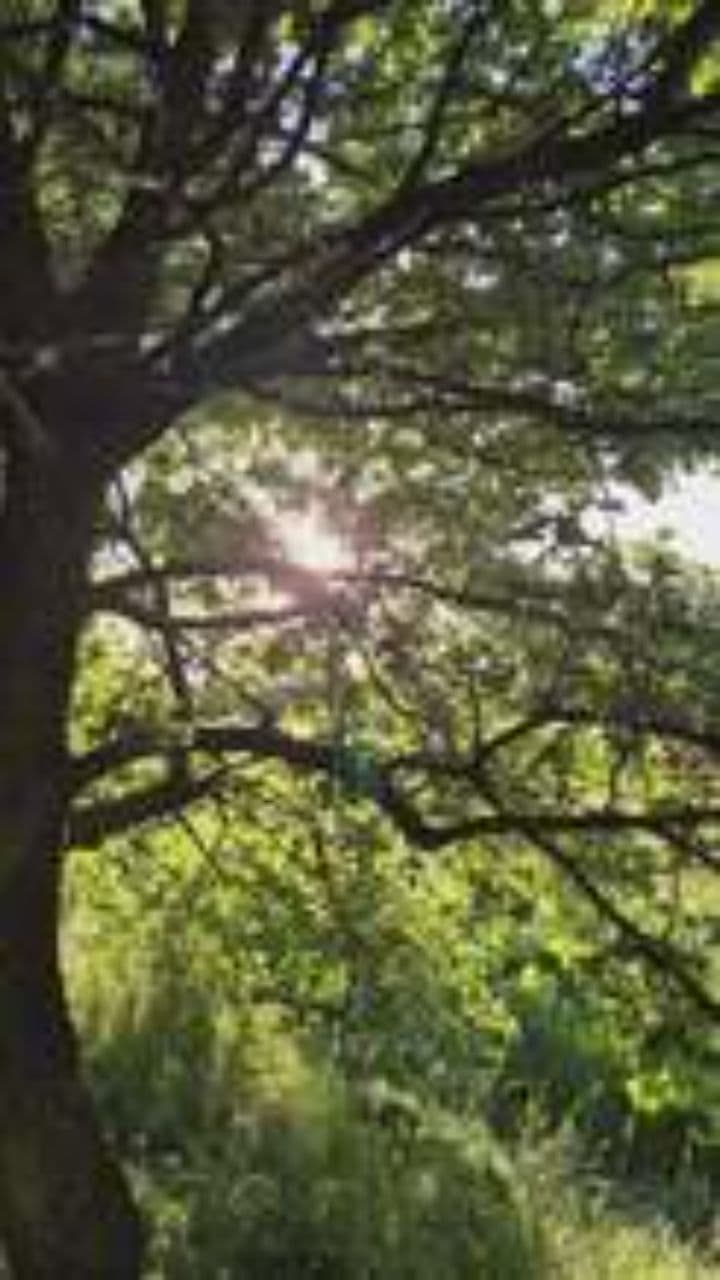 Precious Gem in a Golden Chest