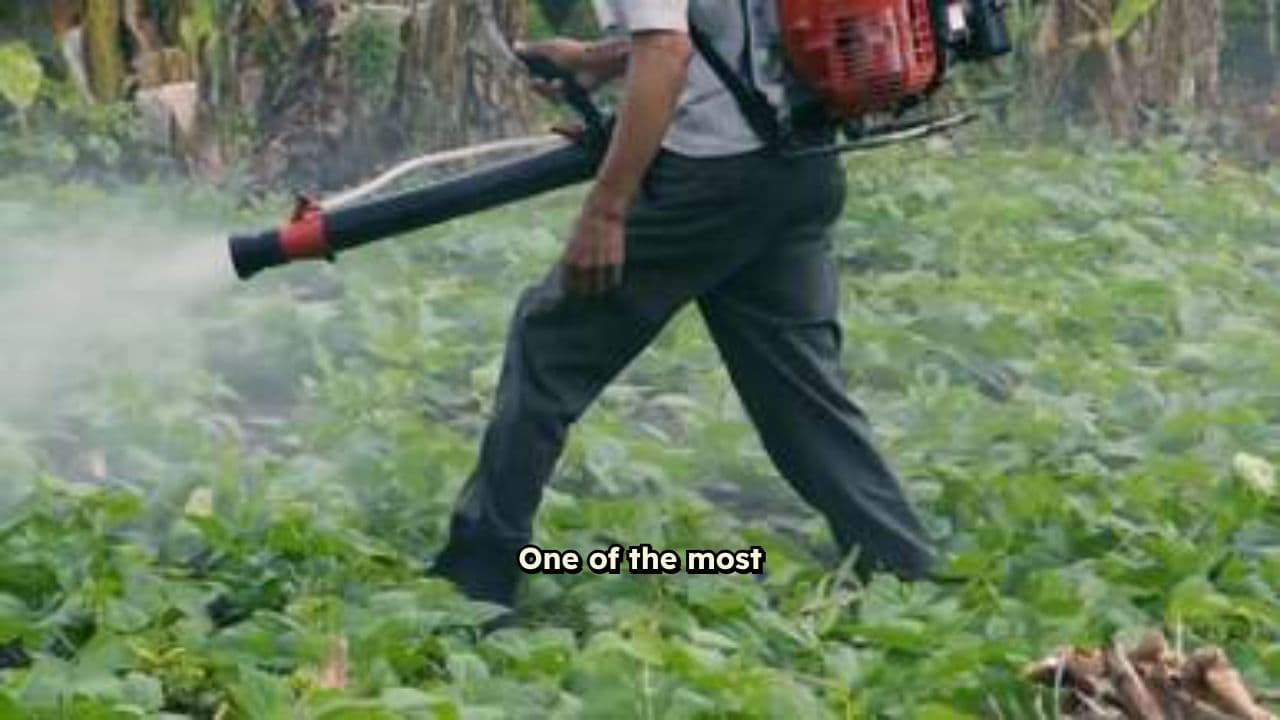 The Poison in the Food Chain