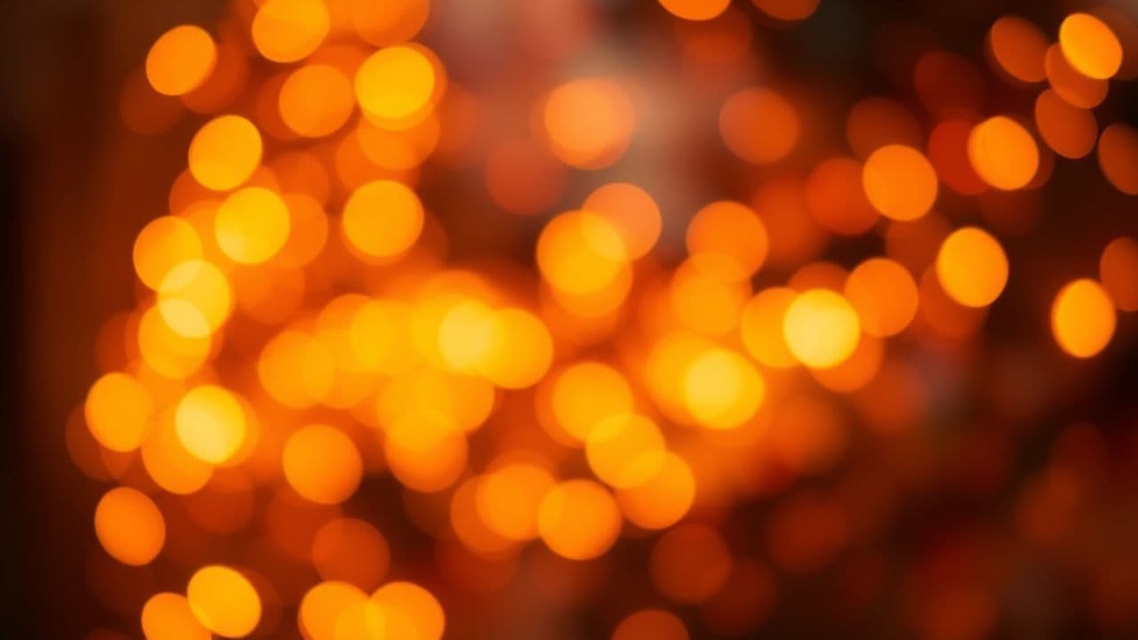 Merry Christmas Celebration