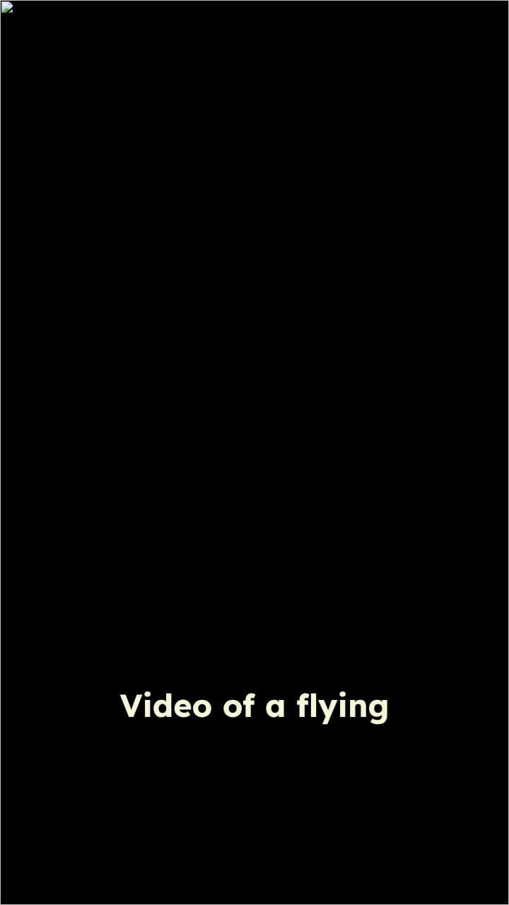 Flying Monkey Soars and Barks