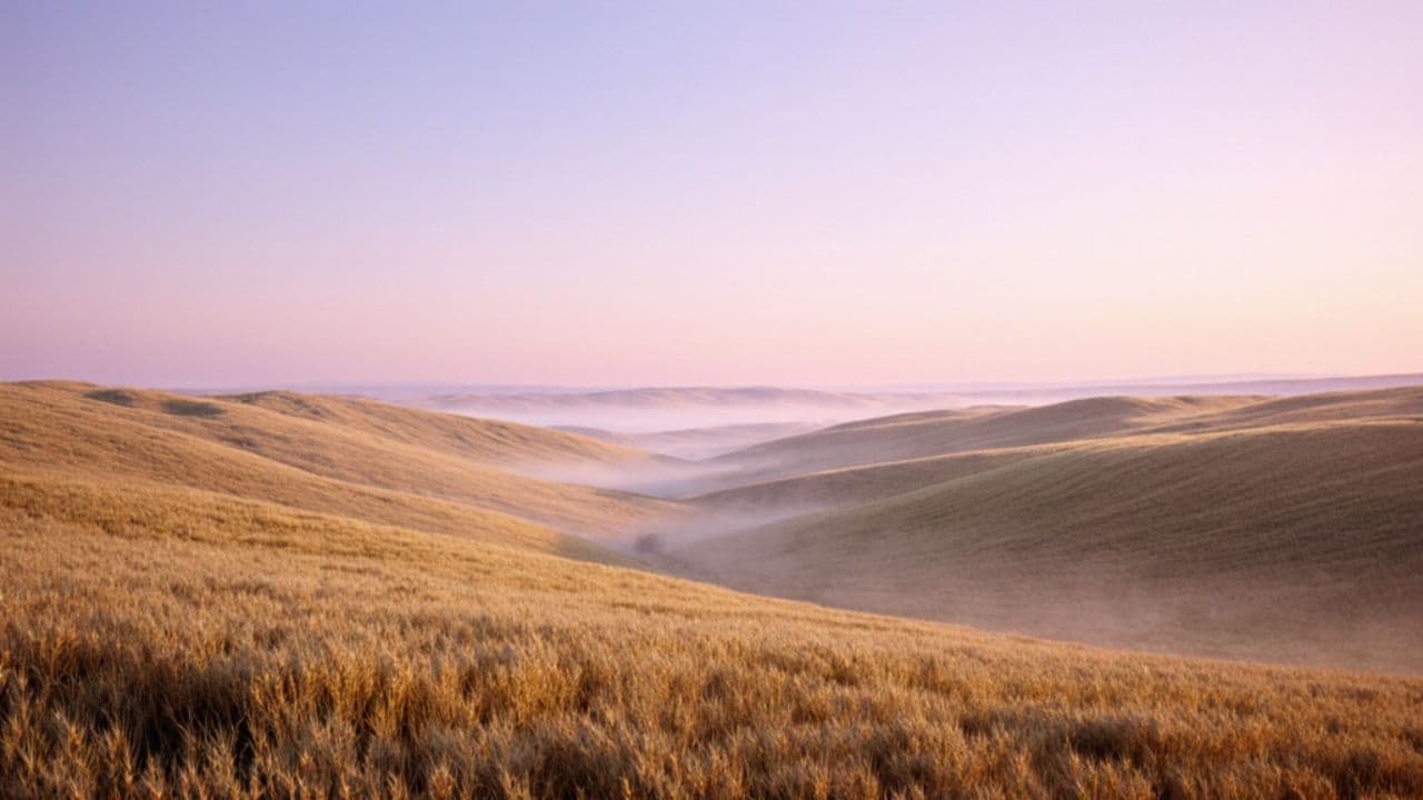 Любов до України
