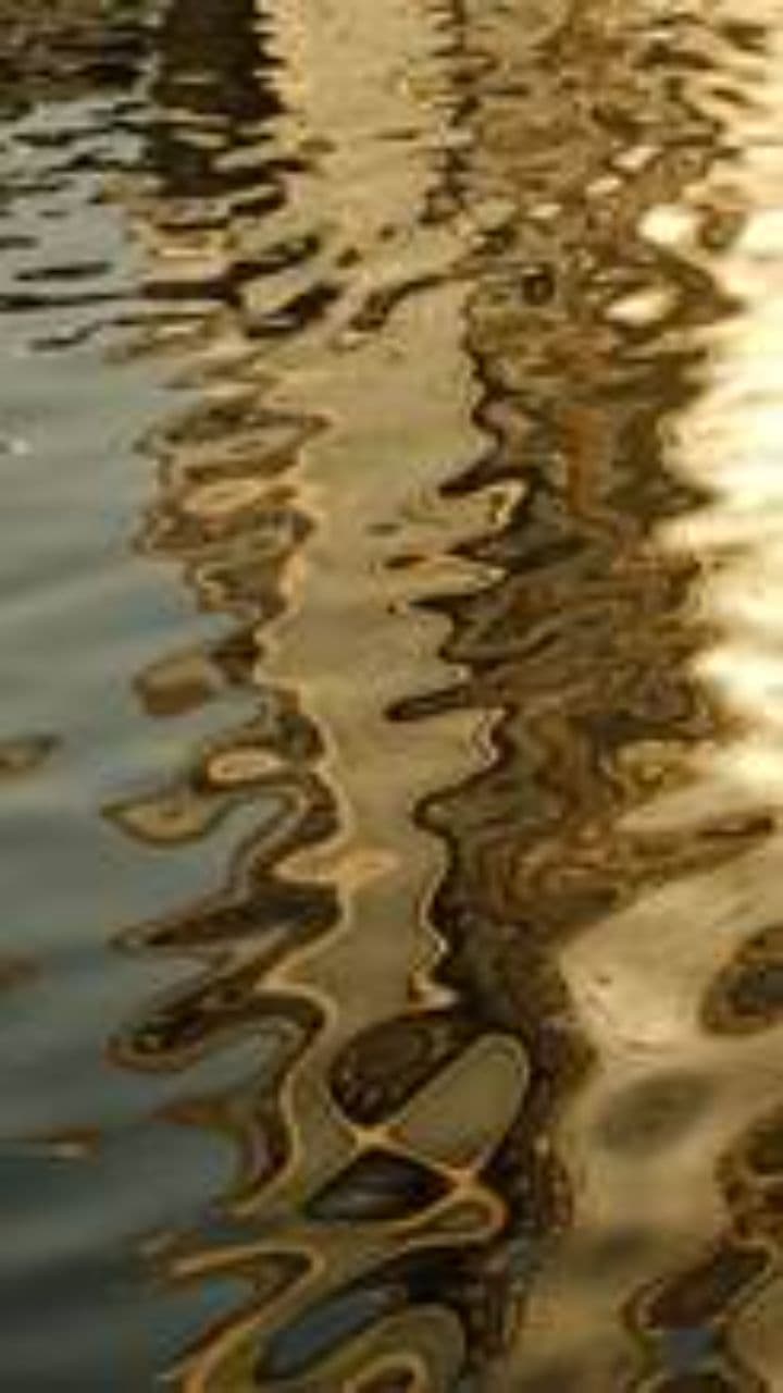 Tread Softly on My Dreams