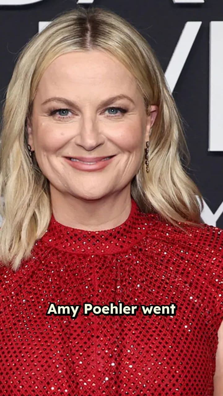 Amy Poehler Fights Over Swearing on Plane