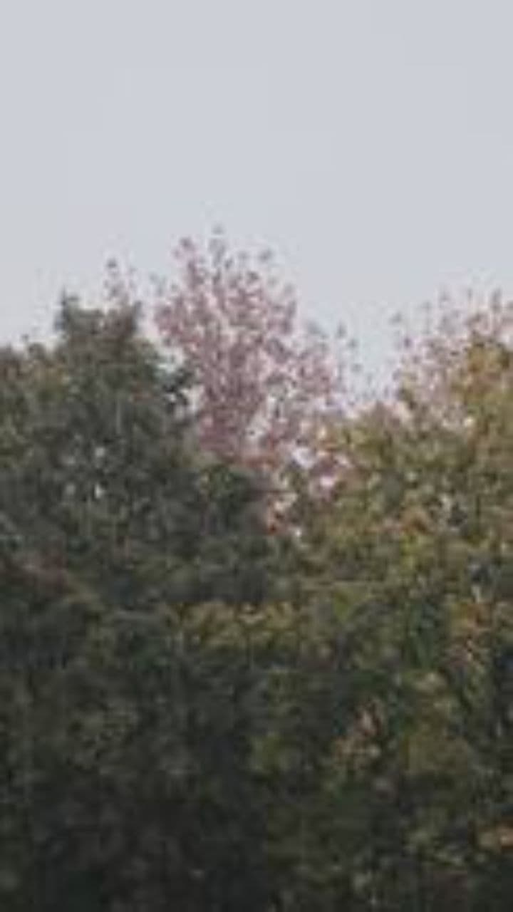 Remnants of You and Me