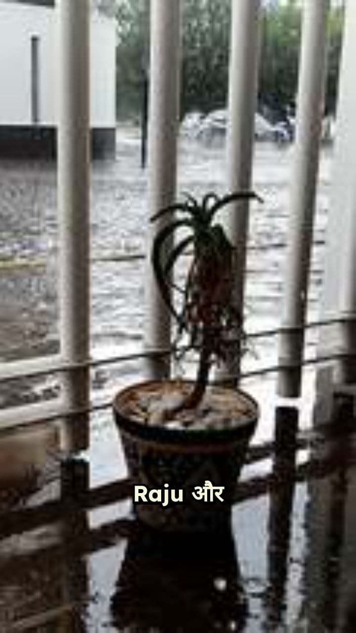 सच्ची दोस्ती की ताकत