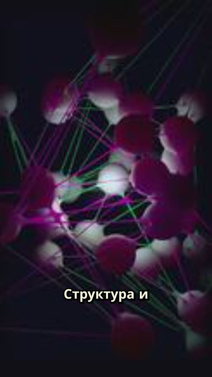 Структура и функции эмали зуба