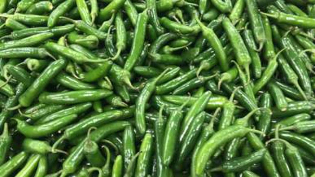 Keto Diet Risks for Seniors