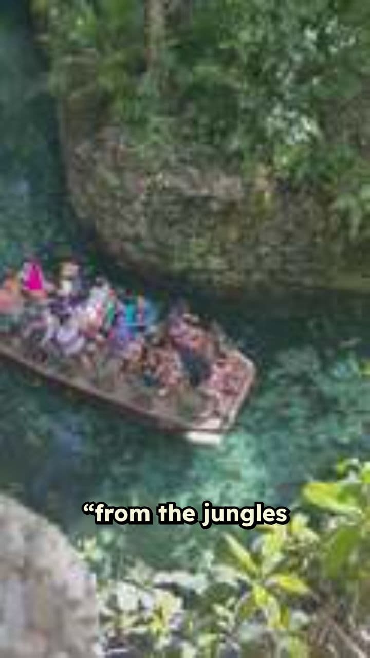 The Wild Journey of Chocolate