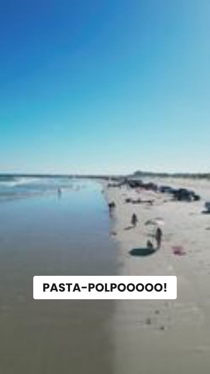 Cocomero-Polpo's Brainrot Beach Adventure