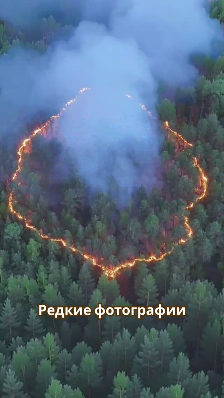 Редкие и удивительные фотографии мира