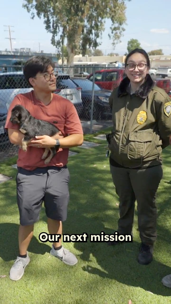 Rescuing Rhinos from a Helicopter