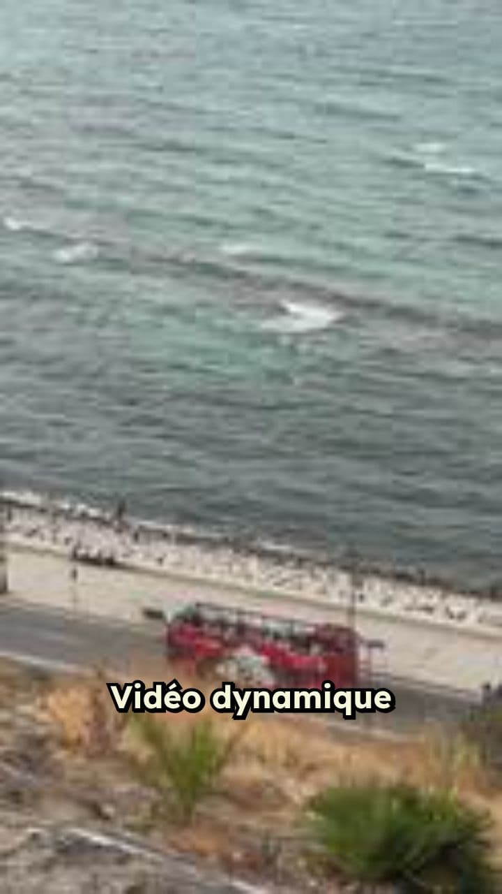 L'épopée héroïque du Maroc en 2022