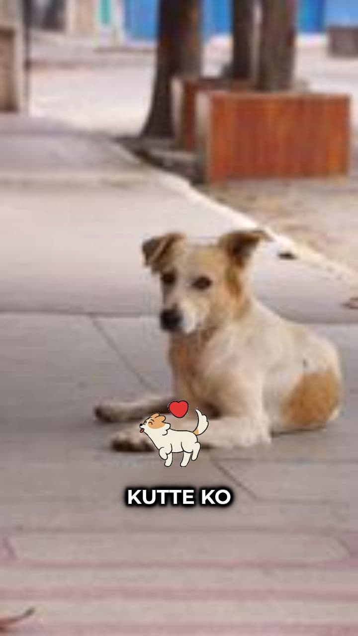 Kutton Ka Pyaar Dil Se Hota Hai