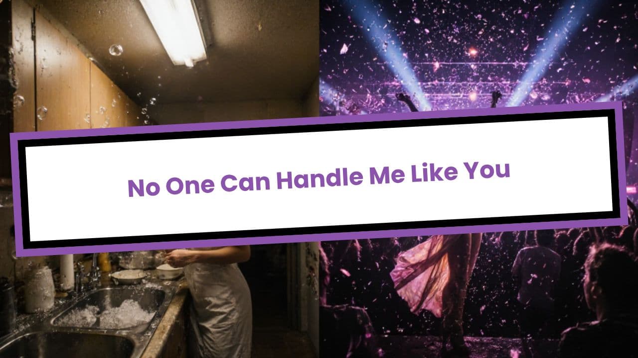 No One Can Handle Me Like You