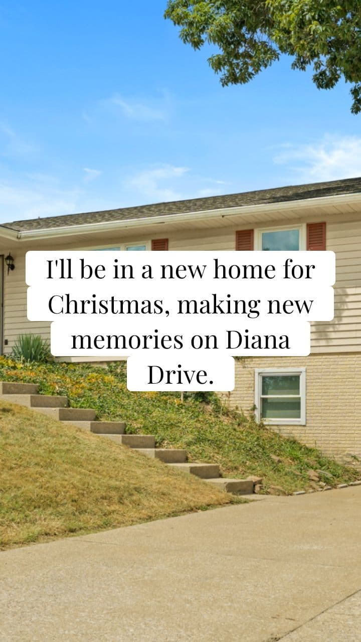 New Home for Christmas