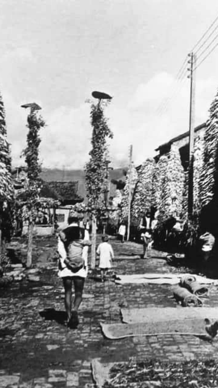 Arakasan Chant and Kaila Refrain