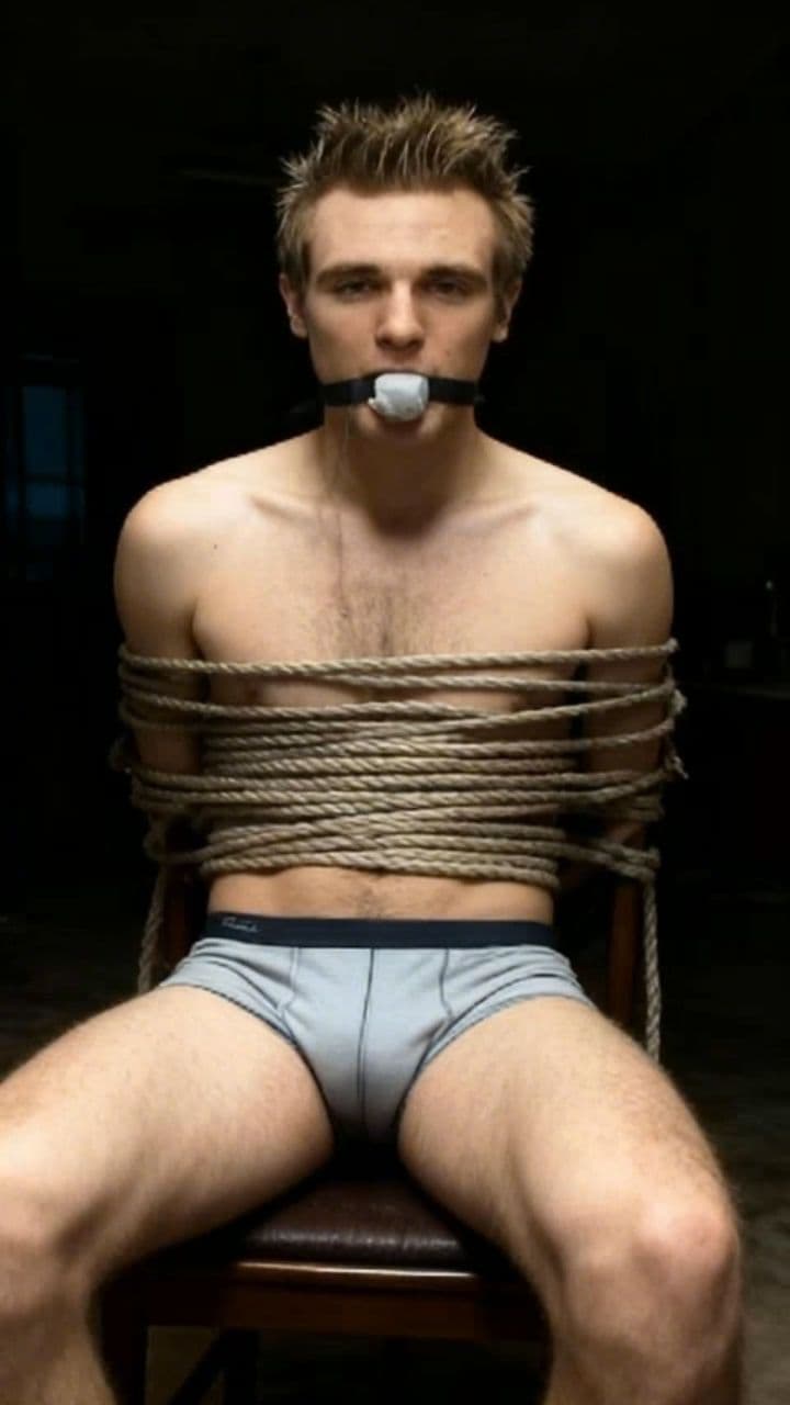 Image transform video