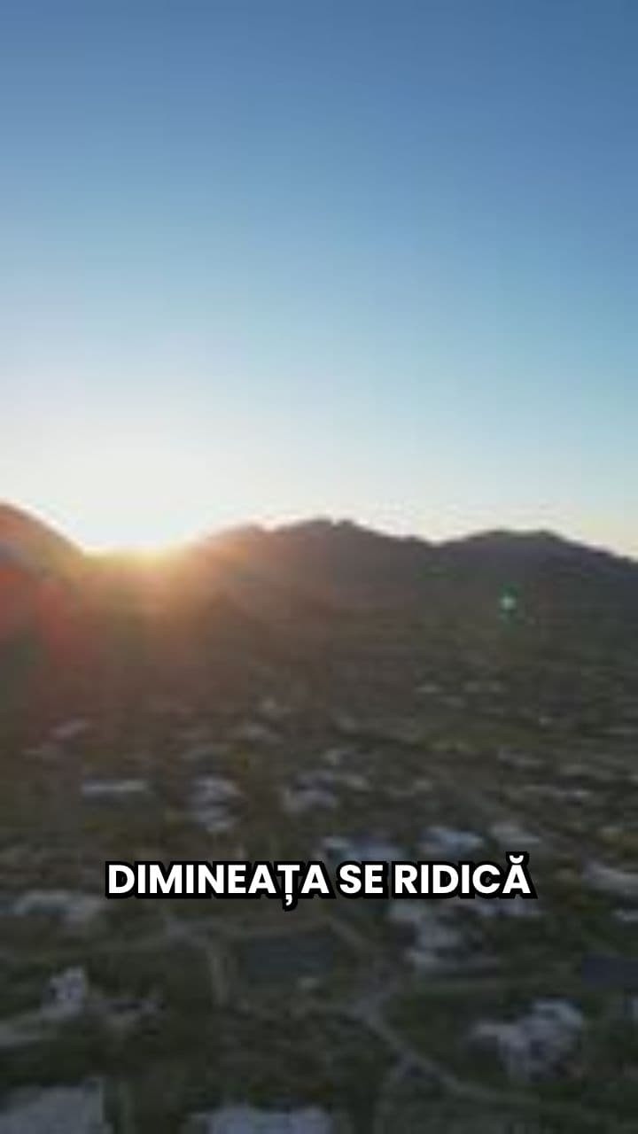 Microbuzul Hârșova: Puntea Comunității