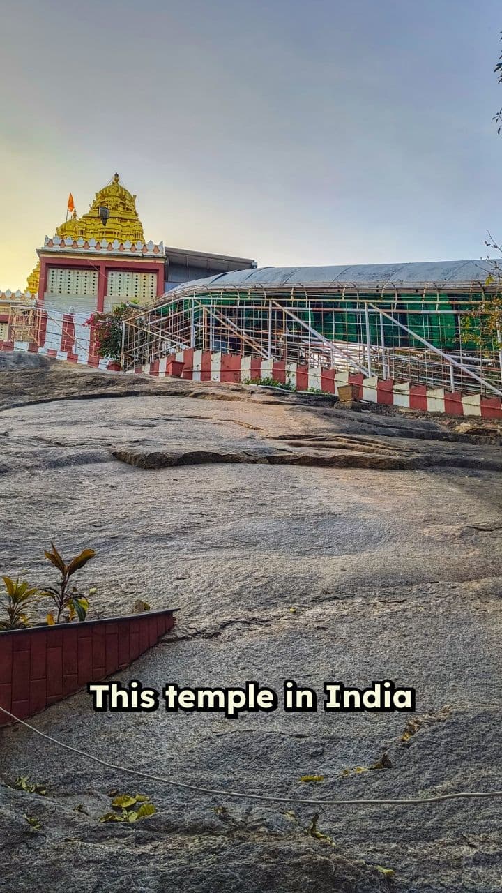 A Temple Where Everything Is Free