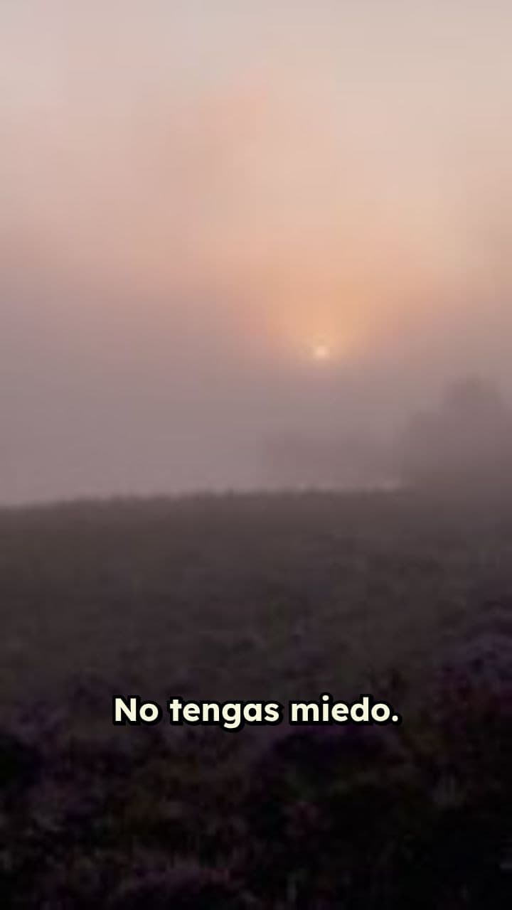 Luz y Esperanza: Un Mensaje de Consuelo