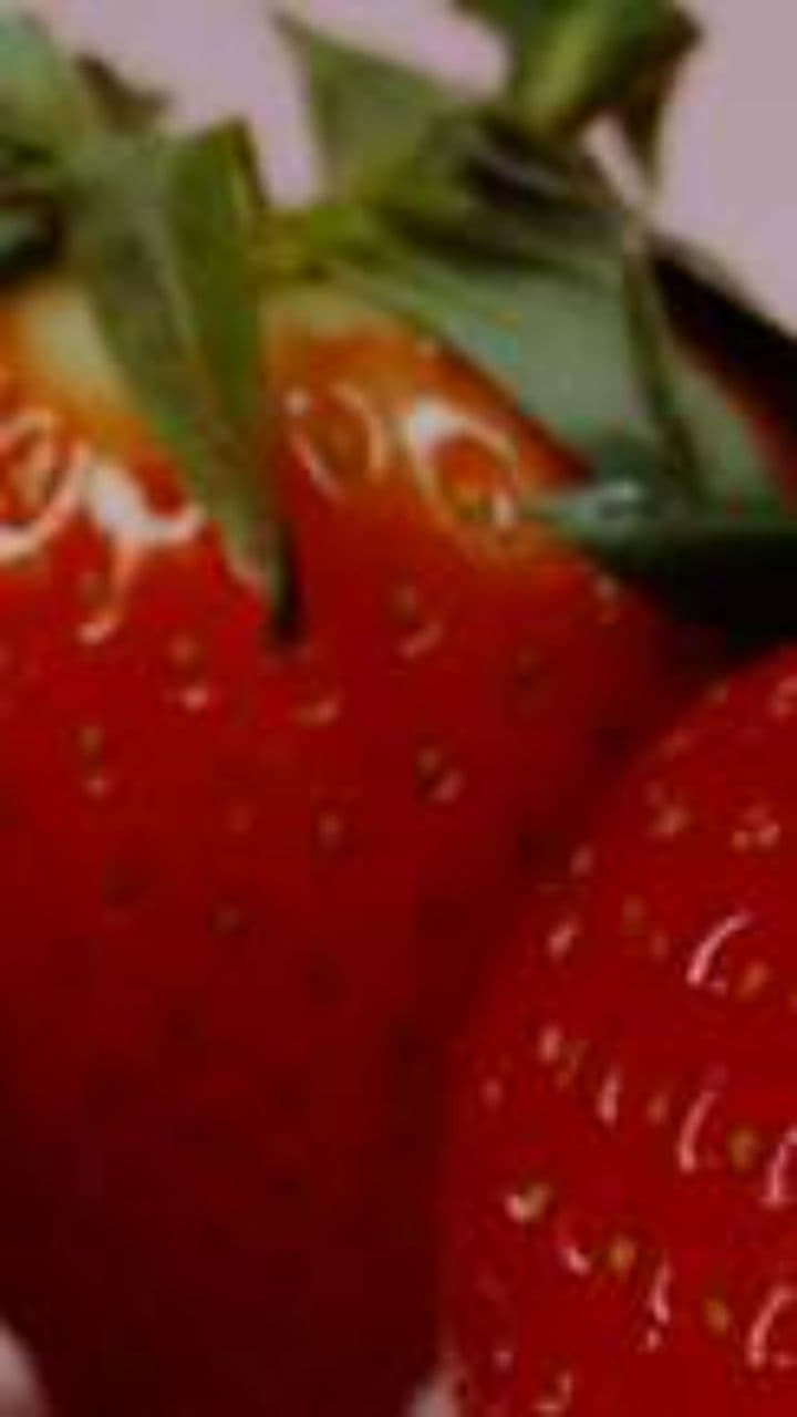 Acorda e Vai Trabalhar