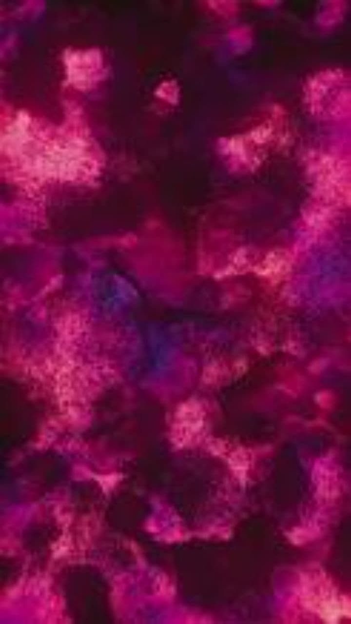 Construire son chemin avec discipline