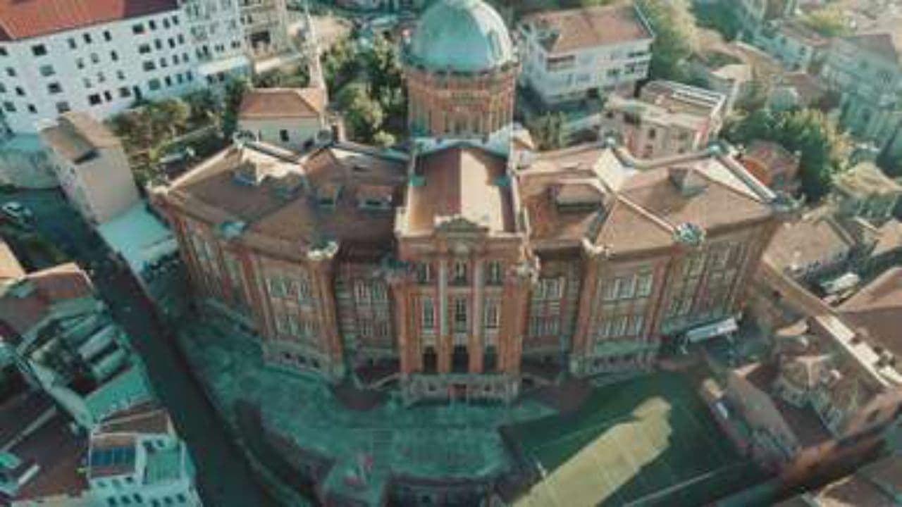 La etapa genital en la adultez (duplicated)