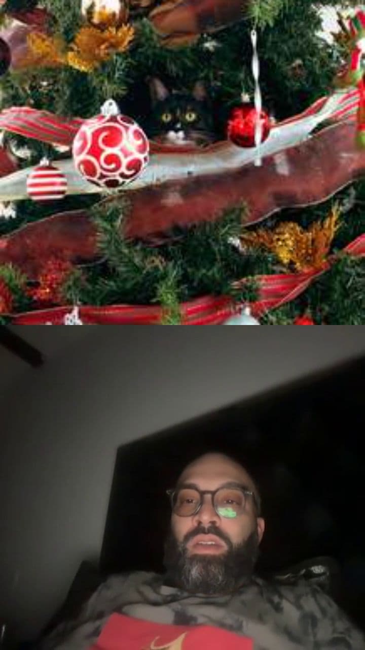 Into the Game: Super Harlem World 2