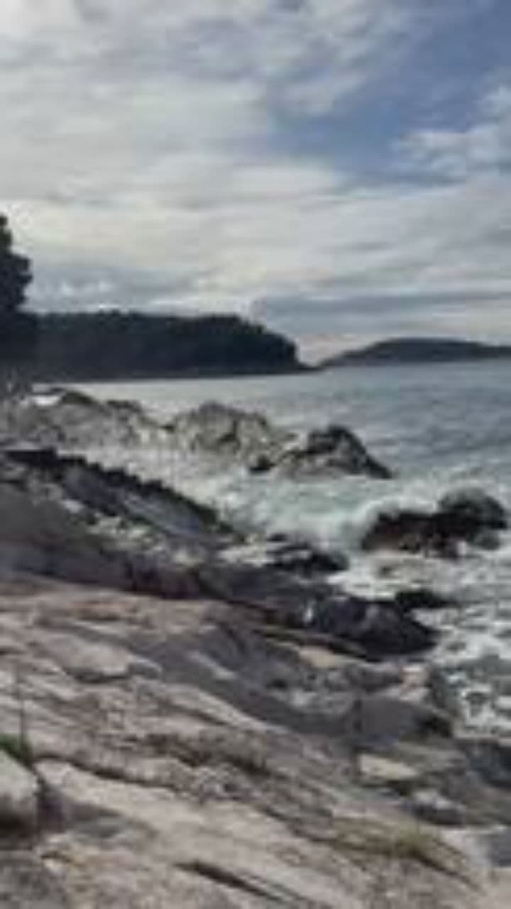 Vers la mer, un manifeste d'existence