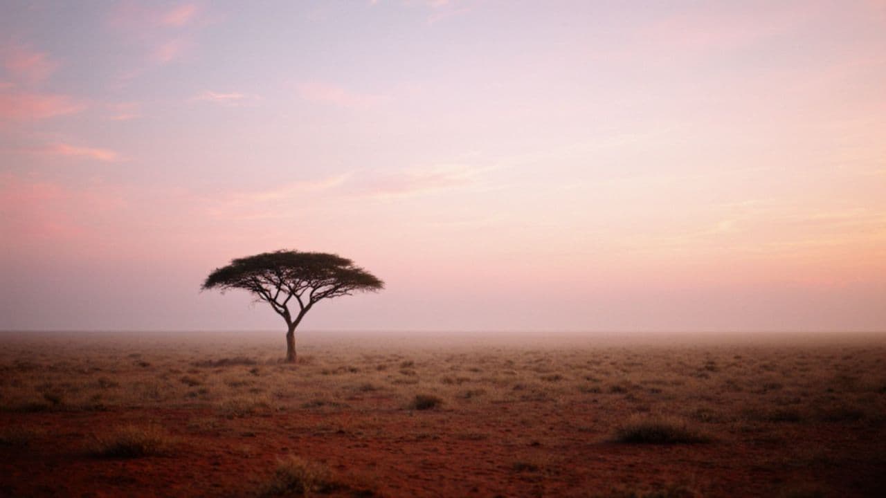 Lessons in Stillness and Joy