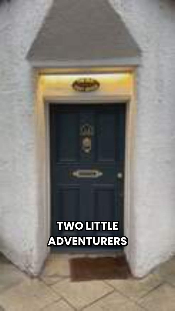 The Meadow Adventures