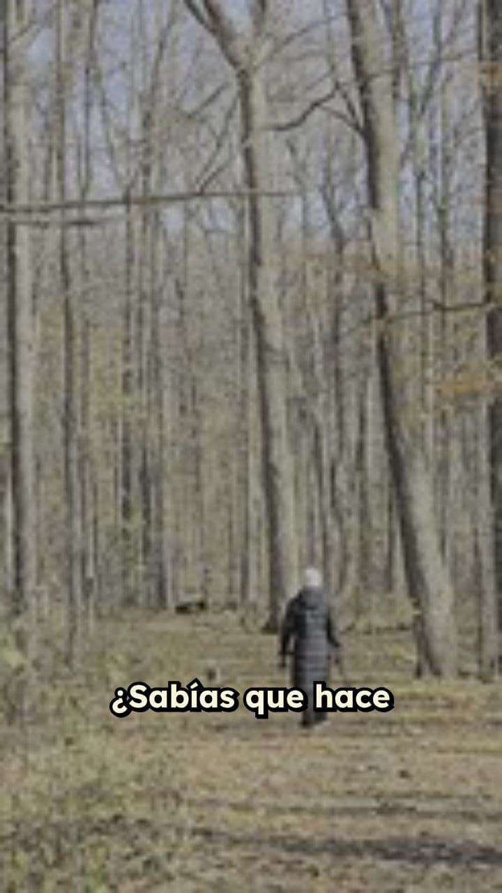 Secretos de los Dinosaurios